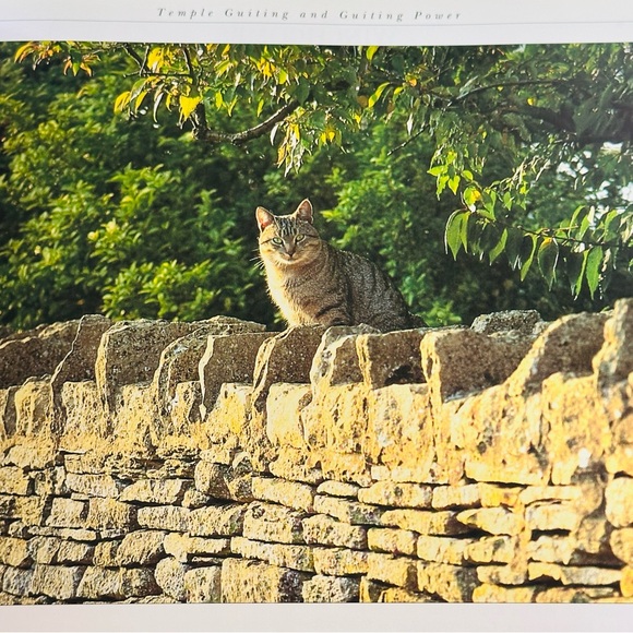 Cotswold Scene The Villages & Landscapes Chris Andrew’s Paperback Book - Picture 9 of 14